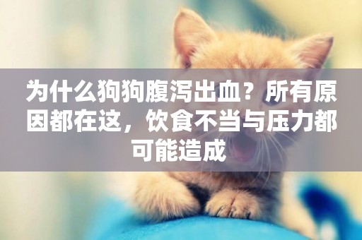 為什么狗狗腹瀉出血？所有原因都在這，飲食不當與壓力都可能造成 