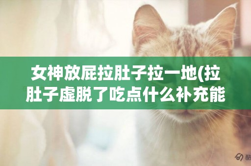 女神放屁拉肚子拉一地(拉肚子虛脫了吃點什么補充能量) 