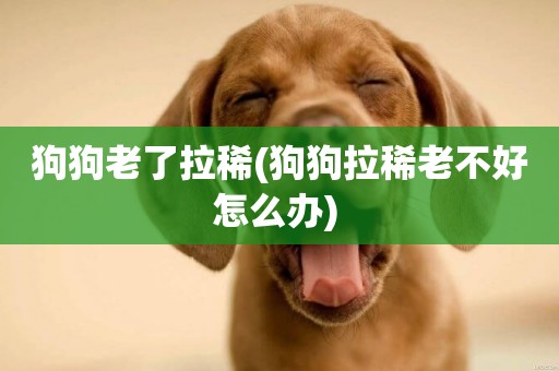 狗狗老了拉稀(狗狗拉稀老不好怎么辦) 