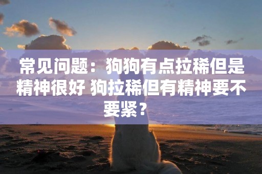 常見問題：狗狗有點拉稀但是精神很好 狗拉稀但有精神要不要緊？ 