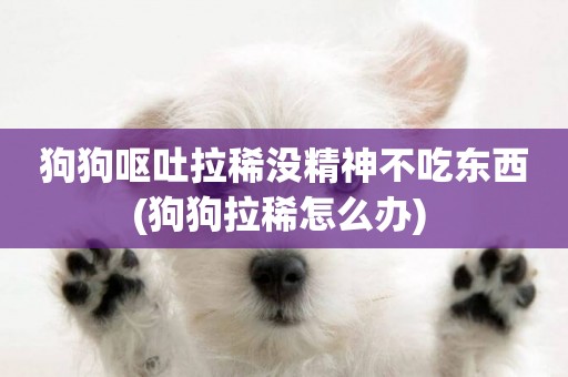 狗狗嘔吐拉稀沒精神不吃東西(狗狗拉稀怎么辦) 