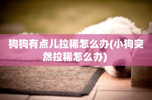 狗狗有點兒拉稀怎么辦(小狗突然拉稀怎么辦) 