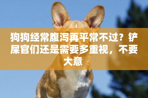 狗狗經常腹瀉再平常不過？鏟屎官們還是需要多重視，不要大意 