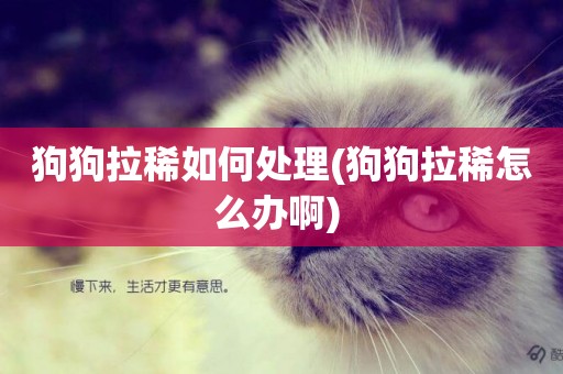 狗狗拉稀如何處理(狗狗拉稀怎么辦啊) 
