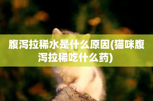 腹瀉拉稀水是什么原因(貓咪腹瀉拉稀吃什么藥) 