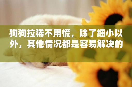 狗狗拉稀不用慌，除了細小以外，其他情況都是容易解決的 
