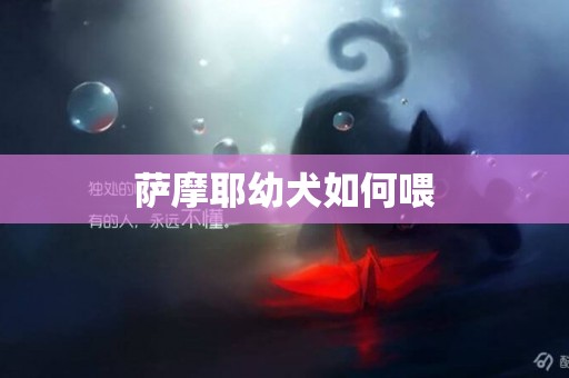 薩摩耶幼犬如何喂
