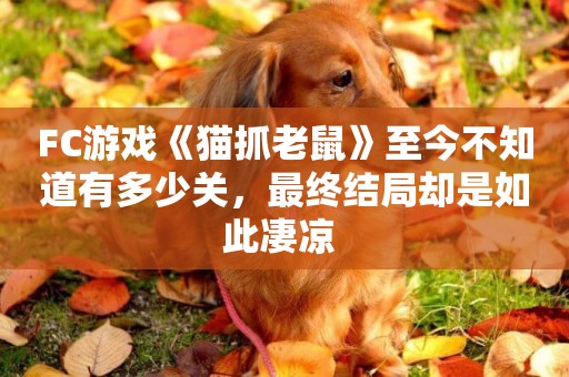 FC游戲《貓抓老鼠》至今不知道有多少關，最終結局卻是如此凄涼 