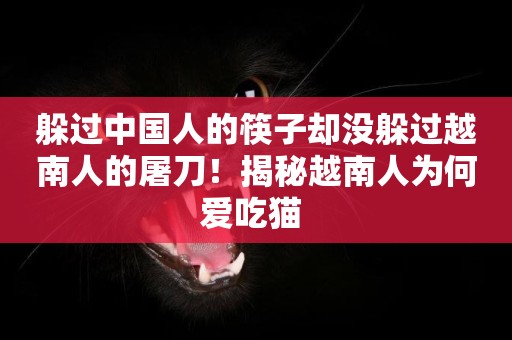 躲過中國人的筷子卻沒躲過越南人的屠刀！揭秘越南人為何愛吃貓 