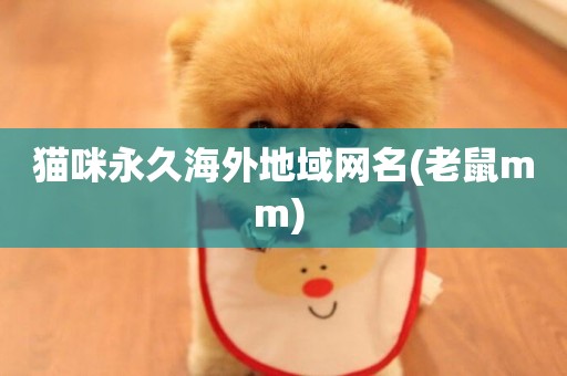 貓咪永久海外地域網名(老鼠mm) 
