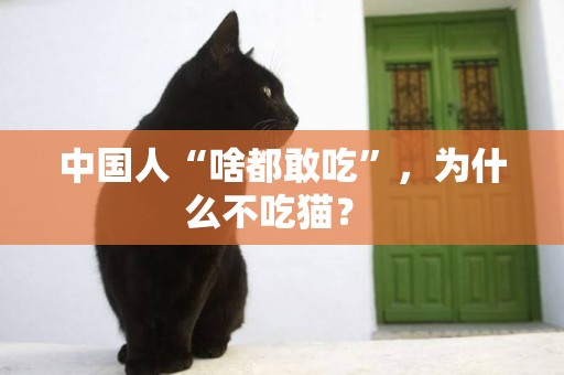 中國人“啥都敢吃”，為什么不吃貓？ 