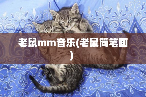 老鼠mm音樂(老鼠簡筆畫) 