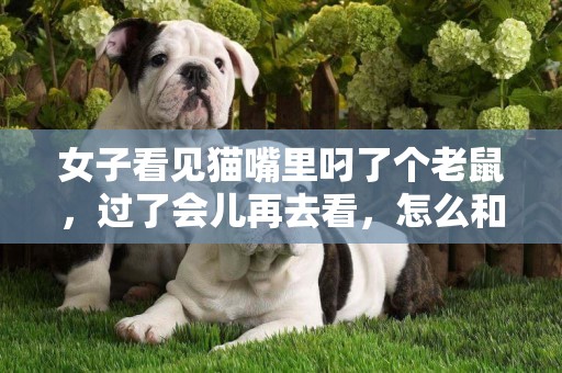 女子看見貓嘴里叼了個老鼠，過了會兒再去看，怎么和猜的不一樣 