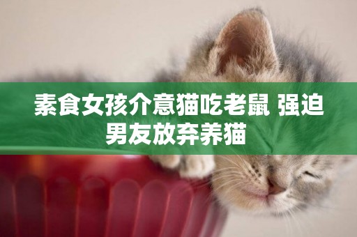 素食女孩介意貓吃老鼠 強迫男友放棄養貓 