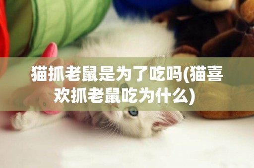 貓抓老鼠是為了吃嗎(貓喜歡抓老鼠吃為什么) 