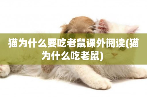 貓為什么要吃老鼠課外閱讀(貓為什么吃老鼠) 