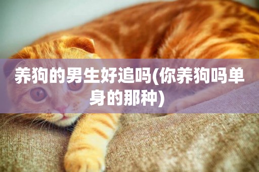 養狗的男生好追嗎(你養狗嗎單身的那種) 