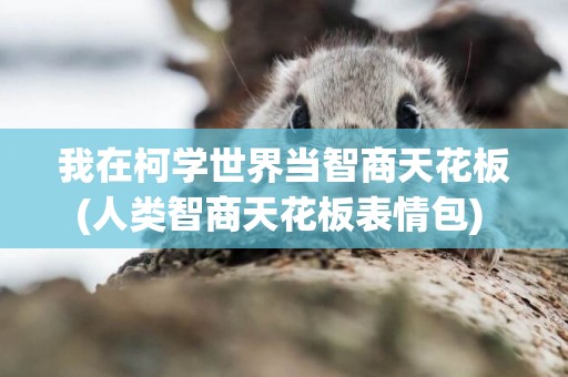 我在柯學世界當智商天花板(人類智商天花板表情包) 