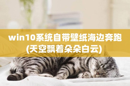 win10系統自帶壁紙海邊奔跑(天空飄著朵朵白云) 