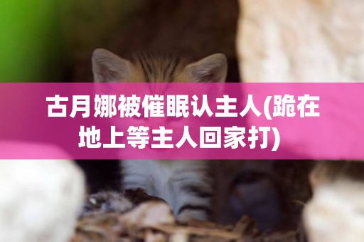 古月娜被催眠認主人(跪在地上等主人回家打) 
