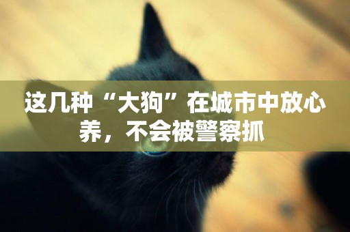 這幾種“大狗”在城市中放心養，不會被警察抓 