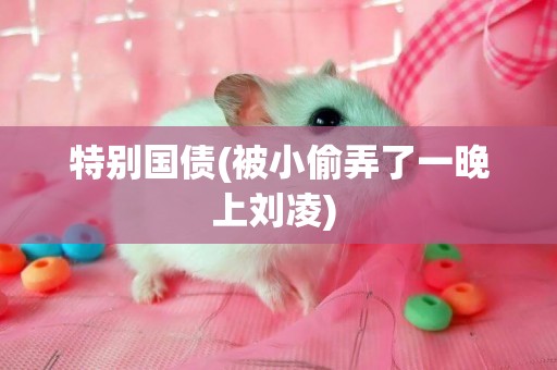 特別國債(被小偷弄了一晚上劉凌) 