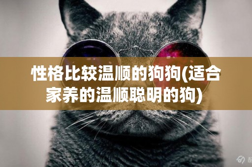 性格比較溫順的狗狗(適合家養的溫順聰明的狗) 
