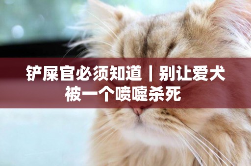 鏟屎官必須知道｜別讓愛犬被一個噴嚏殺死 