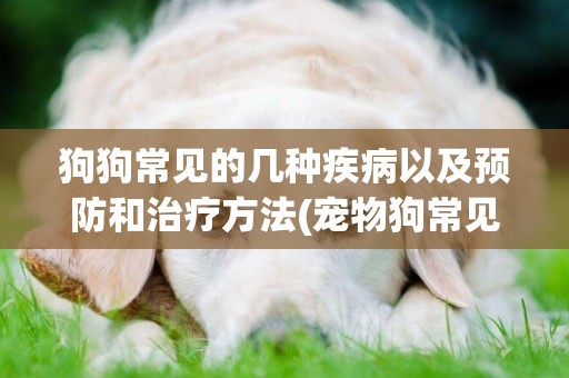 狗狗常見的幾種疾病以及預防和治療方法(寵物狗常見疾病治療) 