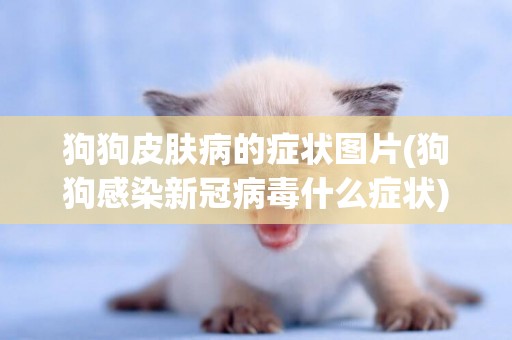 狗狗皮膚病的癥狀圖片(狗狗感染新冠病毒什么癥狀) 