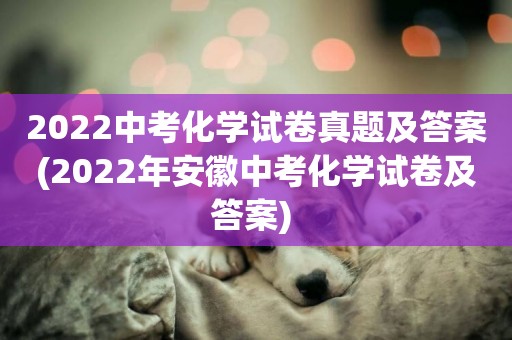 2022中考化學試卷真題及答案(2022年安徽中考化學試卷及答案) 