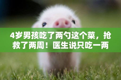 4歲男孩吃了兩勺這個菜，搶救了兩周！醫生說只吃一兩口也危險！當心！ 