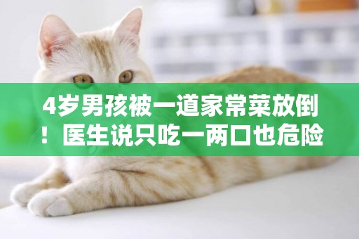 4歲男孩被一道家常菜放倒！醫生說只吃一兩口也危險！當心！ 