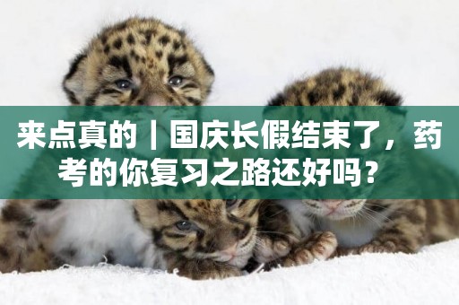 來點真的｜國慶長假結束了，藥考的你復習之路還好嗎？ 