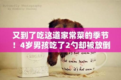 又到了吃這道家常菜的季節！4歲男孩吃了2勺卻被放倒！醫生提醒太危險！ 