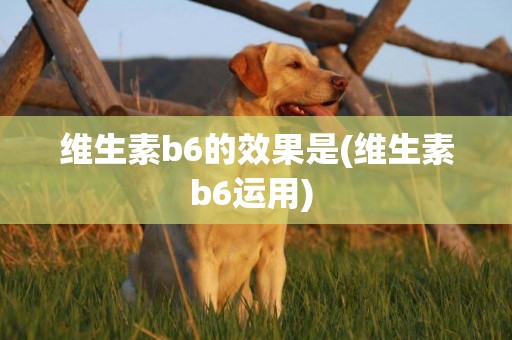 維生素b6的效果是(維生素b6運用) 