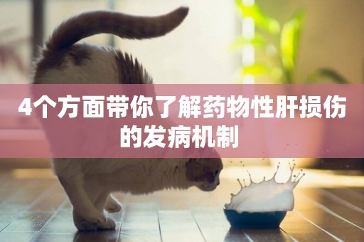 4個方面帶你了解藥物性肝損傷的發病機制 