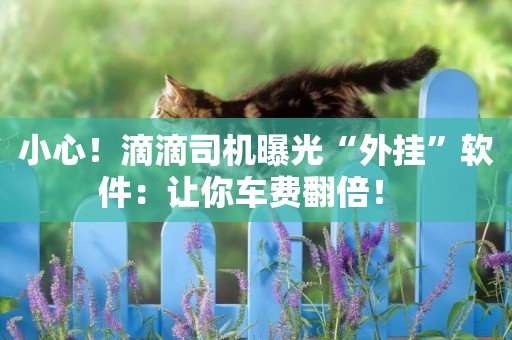 小心！滴滴司機曝光“外掛”軟件：讓你車費翻倍！ 