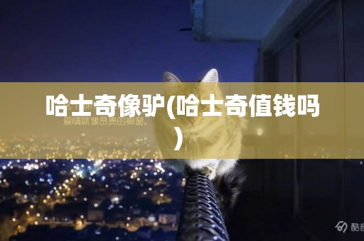 哈士奇像驢(哈士奇值錢嗎) 