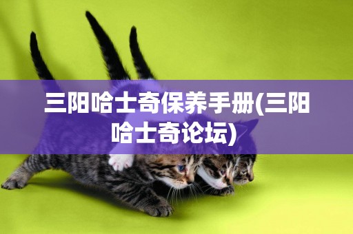 三陽哈士奇保養手冊(三陽哈士奇論壇) 