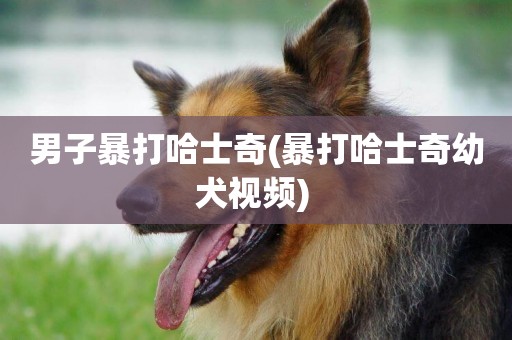 男子暴打哈士奇(暴打哈士奇幼犬視頻) 