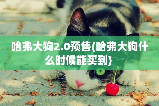 哈弗大狗2.0預售(哈弗大狗什么時候能買到) 
