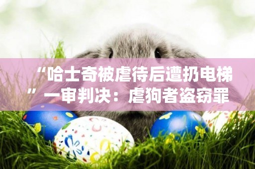 “哈士奇被虐待后遭扔電梯”一審判決：虐狗者盜竊罪成立，拘役3個月并處罰金3000元 