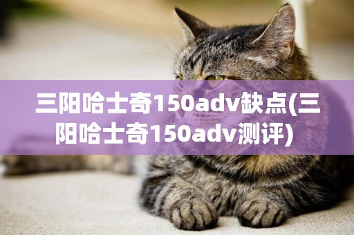三陽哈士奇150adv缺點(三陽哈士奇150adv測評) 