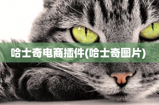 哈士奇電商插件(哈士奇圖片) 