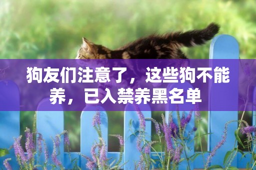 狗友們注意了，這些狗不能養，已入禁養黑名單 