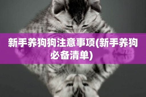 新手養狗狗注意事項(新手養狗必備清單) 