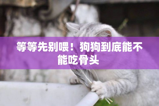 等等先別喂！狗狗到底能不能吃骨頭 