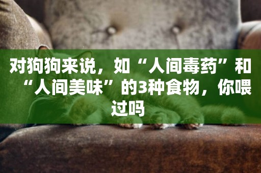 對狗狗來說，如“人間毒藥”和“人間美味”的3種食物，你喂過嗎 