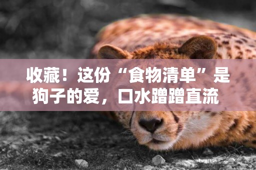 收藏！這份“食物清單”是狗子的愛，口水蹭蹭直流 
